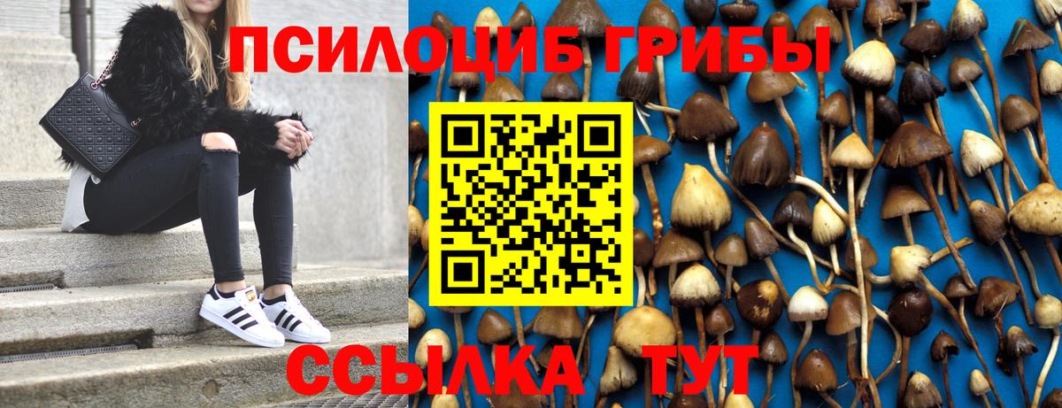 Омск  Псилоцибиновые грибы Psilocybine cubensis  Вход с VPN 